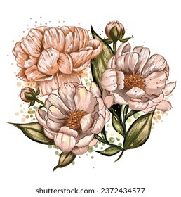 Vector hand drawn peony flower. in engraving style. Beautiful vintage blooming peony in botanical style. Pion for wedding invitations, prints, greeting cards, Birthday, wallpaper, template, package