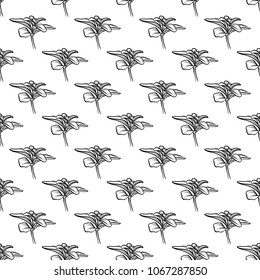 Vector hand drawn petunya seamless pattern