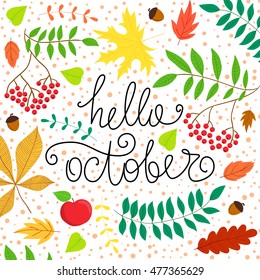 Vector hand drawn phrase - Hello October. Cute greeting card with handwritten calligraphy and autumn leaves. Colorful  festive background