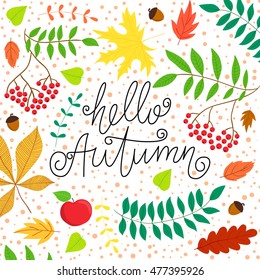 Vector hand drawn phrase - Hello Autumn. Cute greeting card. 