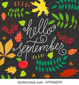 Vector hand drawn phrase - Hello September. Cute greeting card with handwritten calligraphy and autumn leaves. Colorful festive background