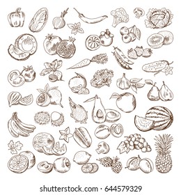 Vector Hand Drawn Pictures Of Fruits And Vegetables. Doodle Vegan Food Illustrations