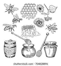 Vector hand drawn pictures of honey products