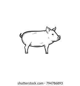 Vector hand drawn Pig outline doodle icon. Pig sketch illustration for print, web, mobile and infographics isolated on white background.