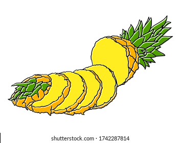 Von Hand gezogene Ananas. Exotische tropische Früchte. Skizze.