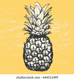 Vector hand drawn pineapple with halftone texture background. Exotic tropical fruit. Sketch. Pop art. Goods for invitations, greeting cards, posters.