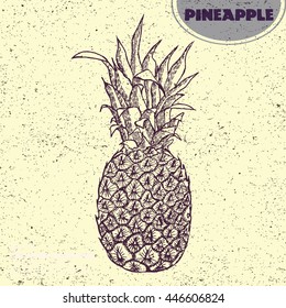 Vector hand drawn pineapple isolated on vintage background. Tropical summer fruit engraved style illustration. Detailed food drawing in line art graphic style. Tattoo design, textile, brochure, card