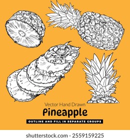 Vector hand drawn pineapple. Outline fruits for graphic designs. Isolated graphic assets on yellow background. Ready to use and easy to edit.