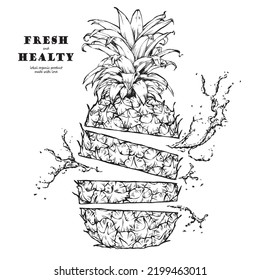 Vector hand drawn pineapple and sliced parts set. Tropical summer fruits engraved style illustration. Detailed food preparation. Great for label, poster, print.