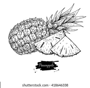 Vector hand drawn pineapple and sliced pieces. Tropical summer fruit engraved style illustration. Detailed food drawing. Great for label, poster, print