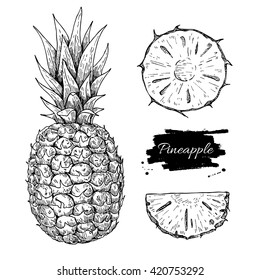 Vector hand drawn pineapple and sliced pieces set. Tropical summer fruit engraved style illustration. Detailed food drawing. Great for label, poster, print