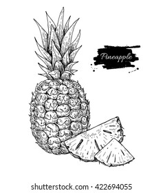 Vector hand drawn pineapple and sliced pieces. Tropical summer fruit engraved style illustration. Detailed food drawing.