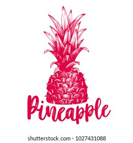 Vector hand drawn pineapple. Tropical summer fruit retro engraved style illustration. Can be use for adversiting, packaging, greeting cards, posters.