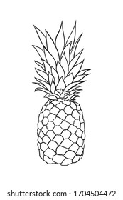 Vector hand drawn pineapple. Tropical summer fruit engraved style illustration. black and white