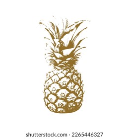 Vector hand drawn pineapple. Tropical summer fruit engraved style illustration. Perfect for invitations, greeting cards, posters.