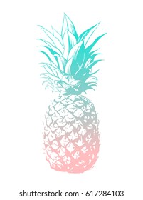 Vector hand drawn pineapple. Tropical summer fruit engraved style illustration. Perfect for invitations, greeting cards, posters.