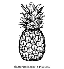 Vector hand drawn pineapple. Tropical summer fruit engraved style illustration. Perfect for invitations, greeting cards, posters.