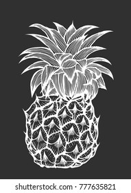 Vector hand drawn pineapple. Tropical summer fruit engraved style illustration. Detailed food drawing. Great for label, poster, print