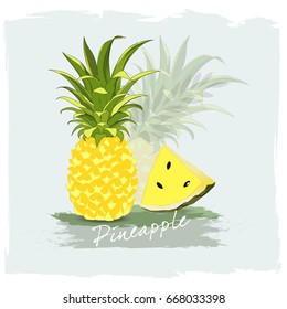Vector hand drawn pineapple.Vector illustration