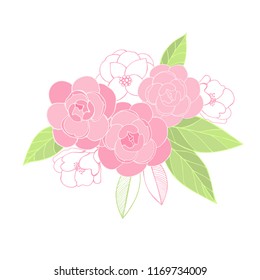 Vector hand drawn pink   flowers