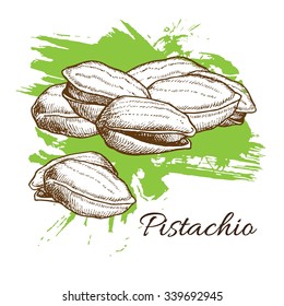 Vector hand drawn Pistachios illustration. Engraved collection.