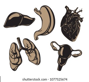 Vector hand drawn placard with realistic illustration of organs . Template for card, poster, banner, print for t-shirt, pin, badge, patch. 