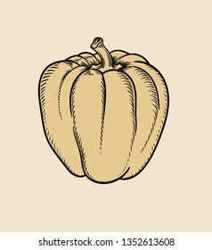 Vector hand drawn plant in black outline . Black stroke paprika .Vector detailed Illustration isolated on background. Detailed vector sketch pepper isolated on white