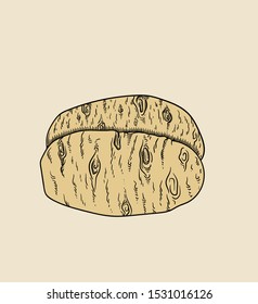 Vector hand drawn plant potatoes in black outline . Black stroke .Vector detailed Illustration isolated on background. Detailed vector sketch