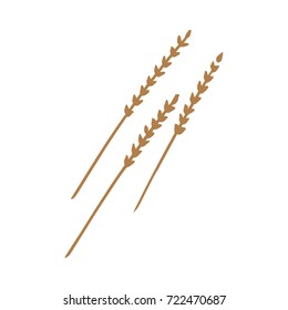 Vector hand drawn plants.