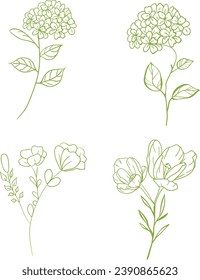 Vector of hand drawn plants. Botanical set of sketch leaves flowers and branches vector set.