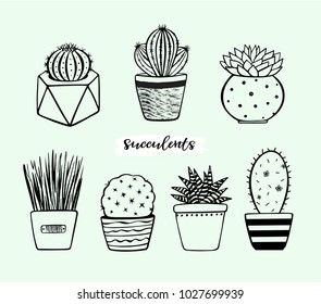 Vector hand drawn plants in pots. Decorated cactus and succulents vector set. Brush drawn. Isolated. Doodle cute house interior plants. Vector illustration