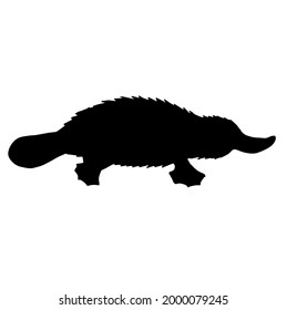 Vector hand drawn Platypus duckbill silhouette isolated on white background