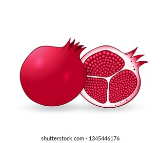 Vector hand drawn pomegranate. Decorative cartoon style collection farm product restaurant menu, market label