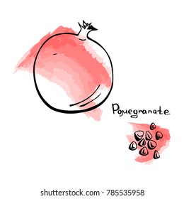 Vector hand drawn pomegranate with pieces on watercolor background. Juice design template.