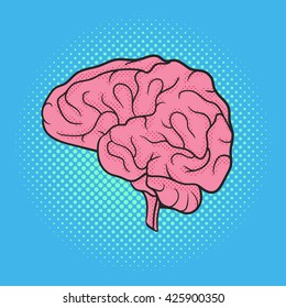 Vector hand drawn pop art illustration of brain. Retro style. Hand drawn sign. Illustration for print, web.