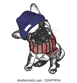 Vector hand drawn portrait of cozy winter dog. French bulldog wearing knitted scarf, beanie and hipster glasses. Winter sketched poster. for flyer, poster, clothing prints. Xmas, Christmas, New Year.