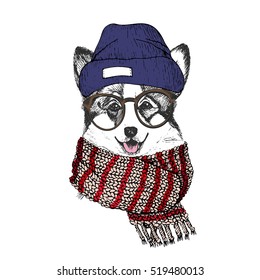 Vector hand drawn portrait of cozy winter dog. Welsh corgi wearing knitted scarf, beanie and hipster glasses. Winter cozy sketched poster. flyer, poster, clothing prints.  Xmas, Christmas, New Year.