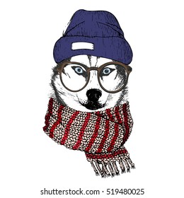 Vector hand drawn portrait of cozy winter dog. Siberian husky wearing knitted scarf, beanie and hipster glasses. Winter sketched poster. for flyer, poster, clothing prints.  Xmas, Christmas, New Year.