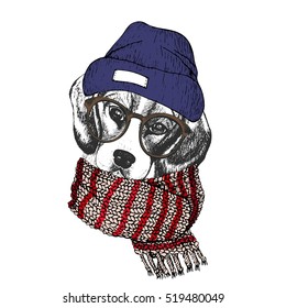 Vector hand drawn portrait of cozy winter dog. Beagle wearing knitted scarf, beanie and hipster glasses. Winter sketched poster. Use for flyer, poster, clothing prints. Xmas, Christmas, New Year.