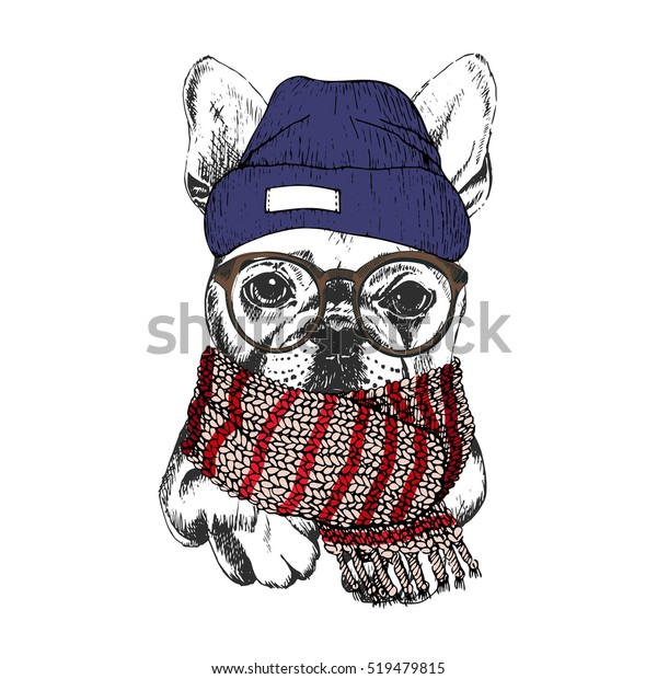 830 Dog In Beanie Images, Stock Photos & Vectors | Shutterstock