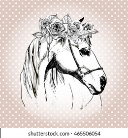 Download Horse With Flower Crown Hd Stock Images Shutterstock