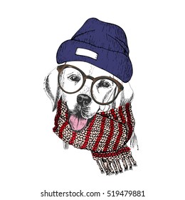 Vector hand drawn portrait of  winter dog. Labrador retriever wearing knitted scarf, beanie and hipster glasses. Winter cozy sketched poster. flyer, poster, clothing prints. Xmas, Christmas, New Year.