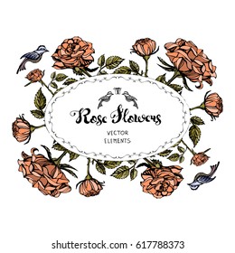 Vector hand drawn postcard in vintage style. With elements of roses and birds. A bright template for your design. Flower doodle.