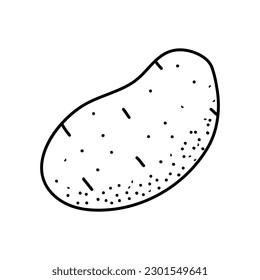 Icono de doodle dibujado a mano con el contorno de papa del vector. Ilustración de esbozo de almidón para impresión, web, móviles e infografías aisladas en fondo blanco