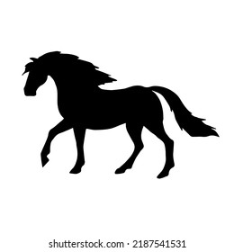 Vector hand drawn pre spanish horse silhouette isolated on white background