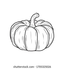 Vector hand drawn pumpkin in black and white. Food sketch illustration for print, web, mobile and infographics isolated on white background.