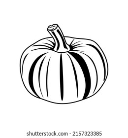 Vector hand drawn pumpkin in black and white. Food sketch illustration for print, web, mobile and infographics isolated on white background.