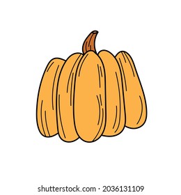 Vector hand drawn pumpkin doodle icon. Food sketch illustration for print, web, mobile and infographics isolated on white background.