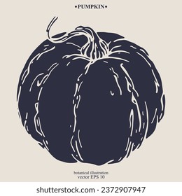 Vector hand drawn Pumpkin. Eps 10 botanical illustration