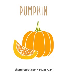 Vector hand drawn pumpkin illustration